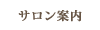 saloninfo.gif
